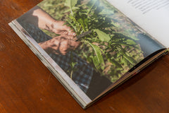 Behind Her Hands -Nonna Nerina's recipe book